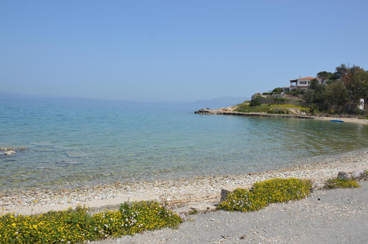 Epipleon Suites Agioi Apostoloi (Attica) Exterior foto