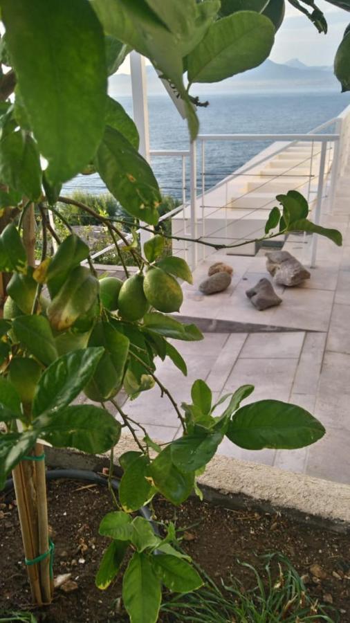 Epipleon Suites Agioi Apostoloi (Attica) Exterior foto
